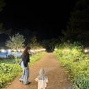 루나폴 | 제주도 루나폴 내돈내산 솔직 후기