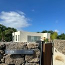 수수미미 이미지