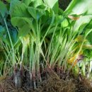 아루농장 이미지