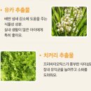 엉클펫 | 엉클홈 DTS 기호성 좋은 사료 추천