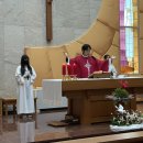 [27.05.24]성령강림대축일미사_부활시기 성경필사(욥기)시상 이미지