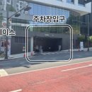 고양이병원 소설 이미지