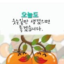 ♤😄 😇 😄♤ 💗과연(果然),장수(長壽) 체질(體質)이란,무엇인가...?? 이미지