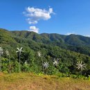 로드파크가로공원 이미지