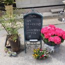 비안단테 이미지