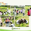 행복나무유치원 이미지