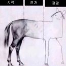 애니 클레이모어 줄거리 및 후기