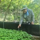 해남군산림조합장 이미지