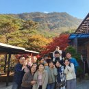 월악고을 | 충주 월악 고을 펜션 : 계곡이 흐르는 월악산 뷰와 단풍을 즐길 수 있는 가족 모임으로 추천하는 숙소