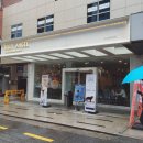 빌리엔젤 명동점 | 강남카페 빌리엔젤 케이크 강남역점