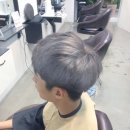 반 헤어 (Van hair)