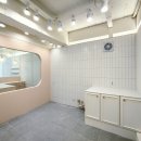 행복한애견미용실 이미지