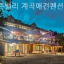 그리운 계곡 펜션 이미지