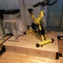 FIT BODY GYM 이미지