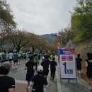 단양생태체육공원 1 | 제20회 단양팔경마라톤 10km 참가 후기와 대회 정경