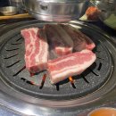 감성돼지 이미지