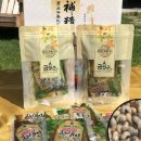 반딧불 프리미엄 이미지