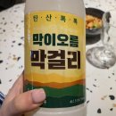 [진주맛집] 막이오름 진주평거점 / 한라맥주 진주평거점 솔직후기!