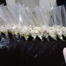 햇살찬농장 | 협업 가치가야 밀키트 된장키트 디저트키트 제작 및 시식평가