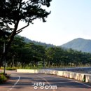 죽림마을 이미지