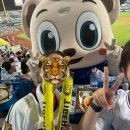 희선제 | 야구 직관 모아보기̈ꉂ☻ᵎᵎᵎ 2️⃣(240508~240816)