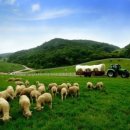 선도목장 이미지