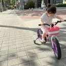 로얄베이비 문5 프로16 내돈내산 후기(아우토반키즈카 부천점)