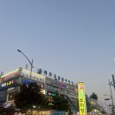 소래포구 대하 시세,포장(태산호 본점,강남수산) 초장집 청춘포차 야장 오픈시간