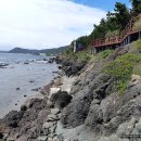 동해안연안녹색길 이미지