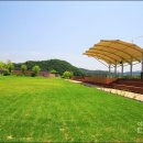 점동체육공원 축구장 이미지