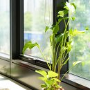 본디올분당한의원 이미지