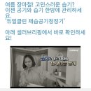 코웨이 센트럴 대리점 이미지