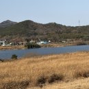 갯머리