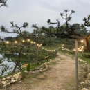 베테랑짬뽕 이미지