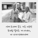 팜힐 네이버블로그