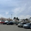 3725 | 부산광안리횟집, 분위기 좋은 코스요리로 즐기는 광안다찌 후기