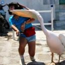 어두육미 이미지