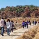 백산두레영농조합법인 이미지