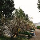 삼일산장 이미지