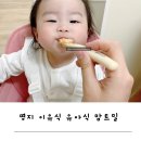 명지 이유식 유아식 맘트밀 아기 반찬 유아 반찬 (명지, 신호동, 사하구 배달 가능)