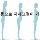 르와짐 이미지