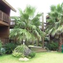 나무향기펜션2 이미지