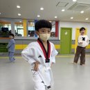 용인대성민태권도 이미지