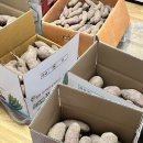 나이스뽑기방 이미지