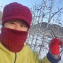 태송농장 이미지