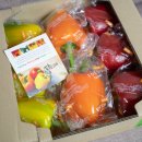 탐진농장 이미지