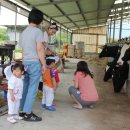 수현목장 이미지