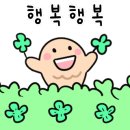 오모케이크 이미지