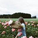 꽃사랑FLOWER