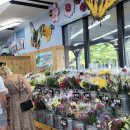 조씨상회 이미지